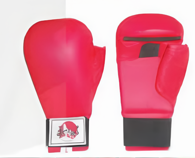 GUANTES DE KARATE
